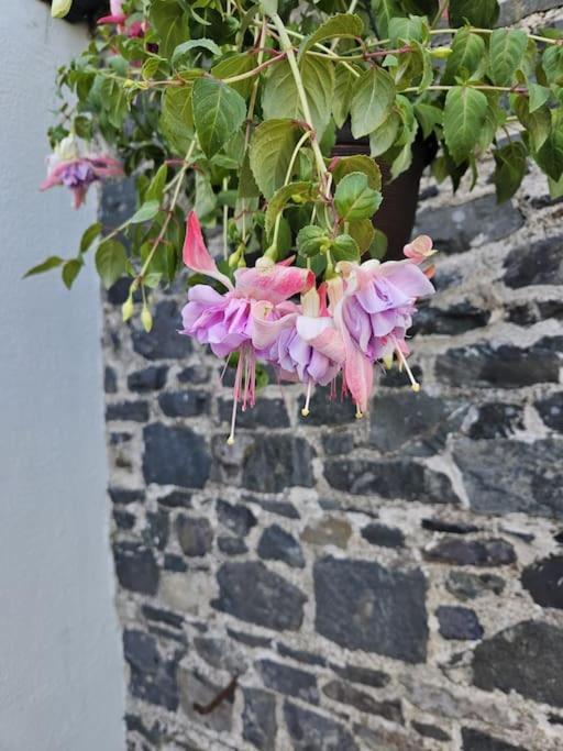 Bluebell Cottage Virginia Buitenkant foto